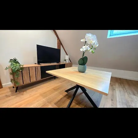 Appartement Le K'rismatis Et Le Loumil'ex Obernai