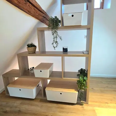 Le K'rismatis Et Le Loumil'ex Appartement Obernai